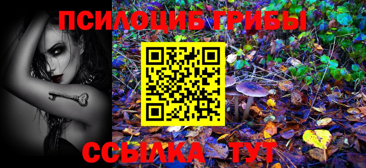 Галлюциногенные грибы GOLDEN TEACHER Люберцы